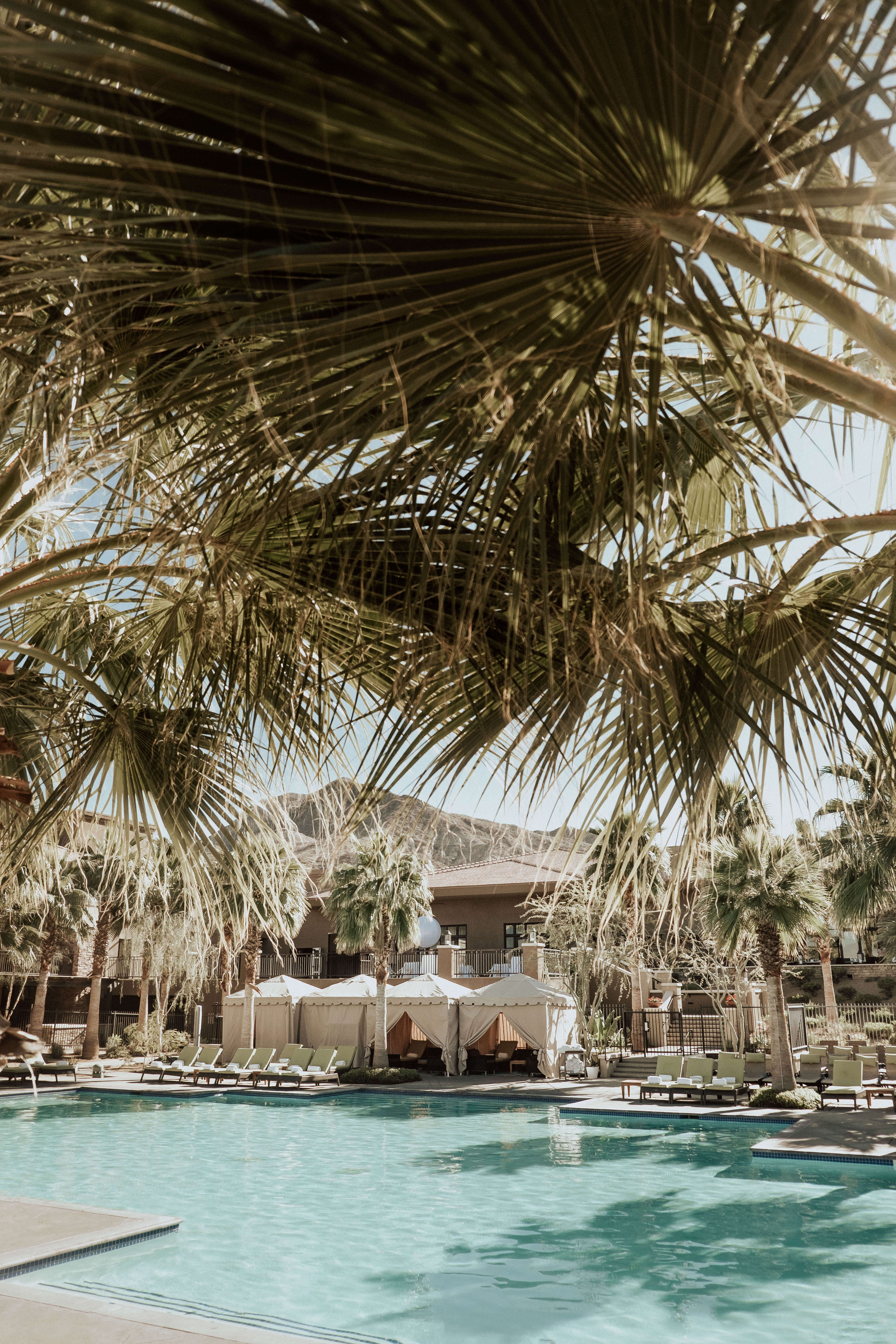 Palm Springs Ritz Pool
