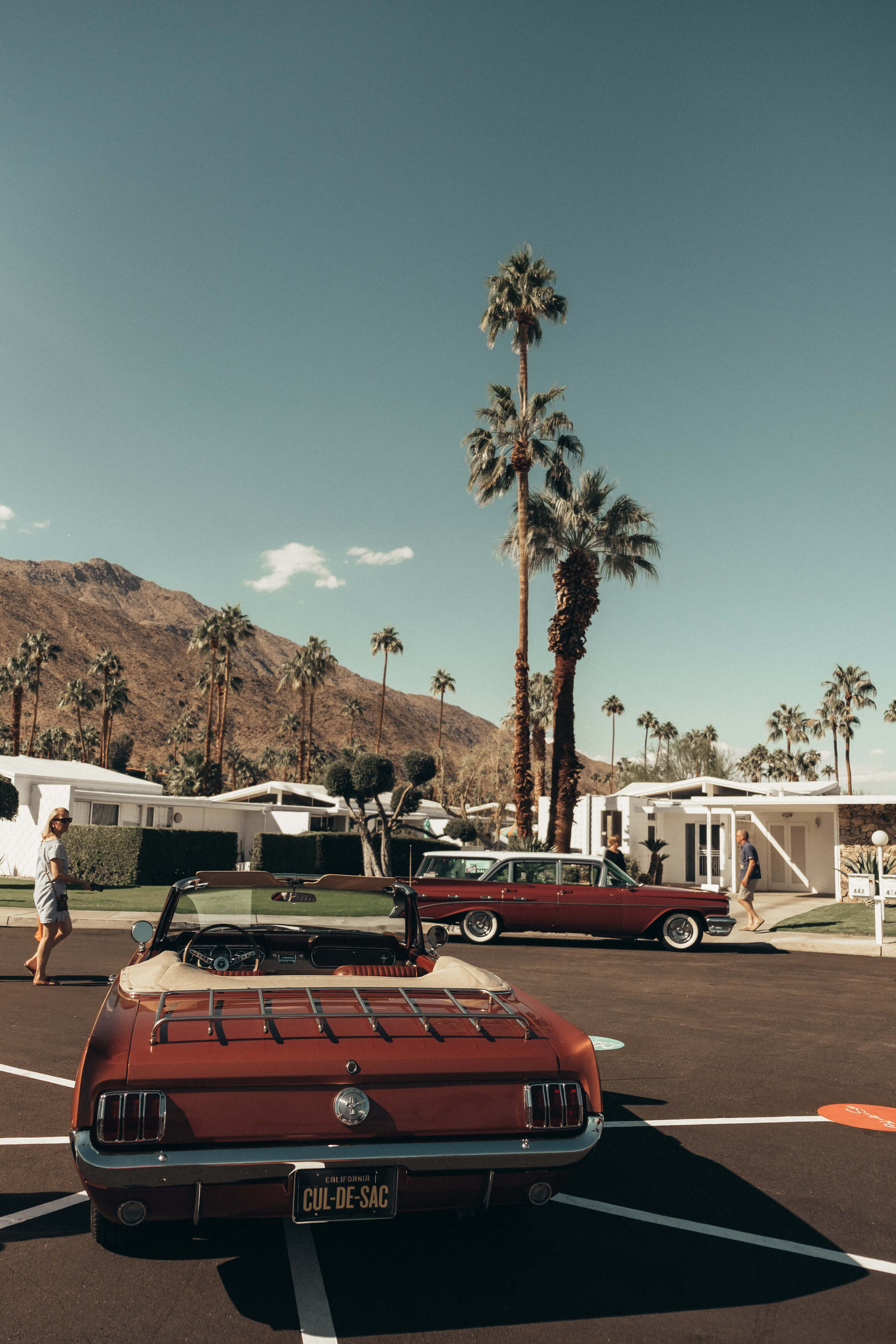 Palm Springs Modernism Week Fall Preview