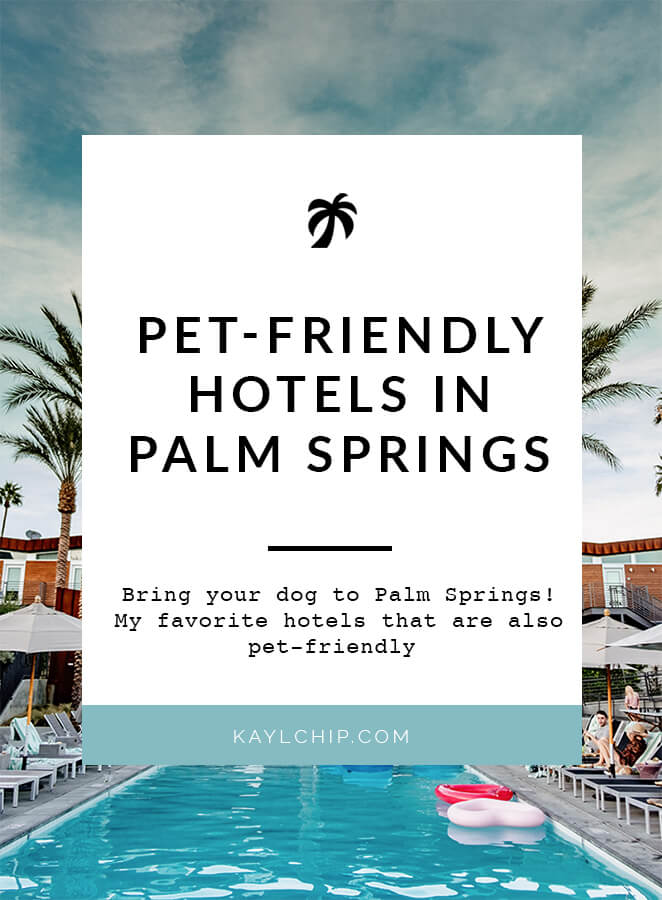 palm springs hotels dogs permitted