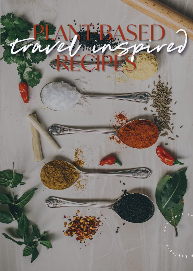 plant based travel recipes